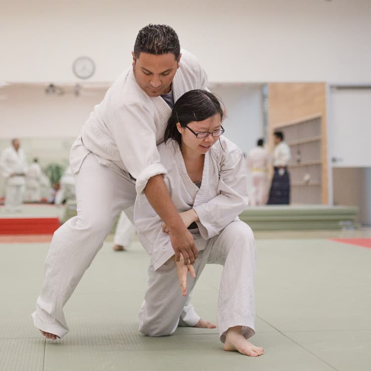 Flyer for Aikido, Unlimited